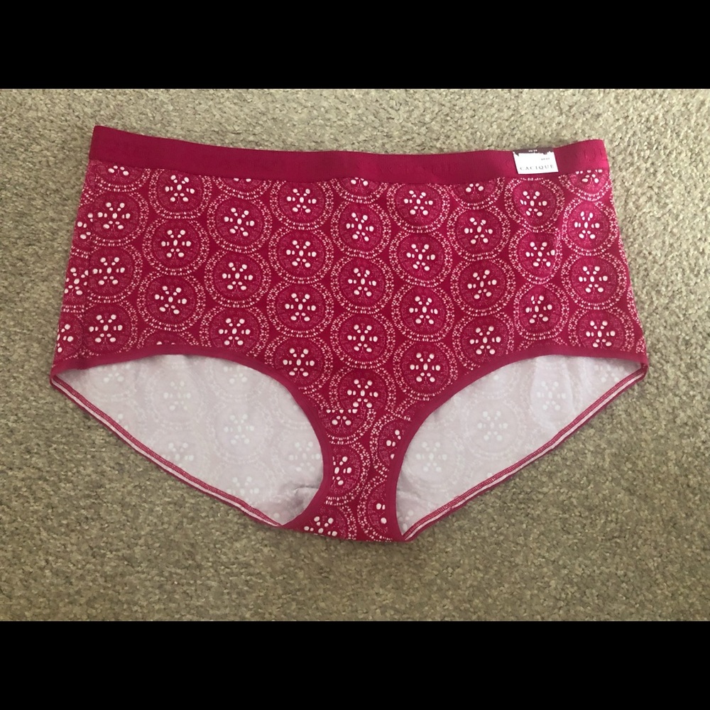 Lane Bryant Cacique Cotton Full Brief 26/28